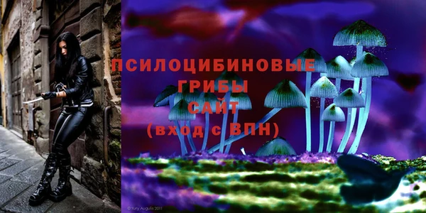 COCAINE Магас